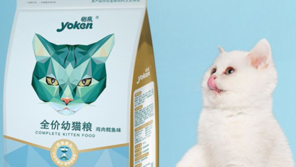 怡亲猫粮成分解析 关于诱食剂与谷物添加的真相