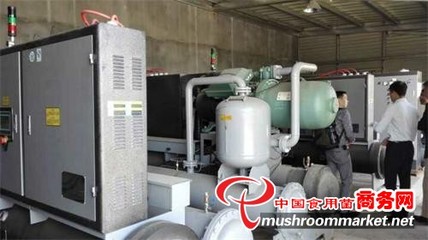 浙江 青风环境设备助力食用菌工厂化生产，推动产业现代化升级